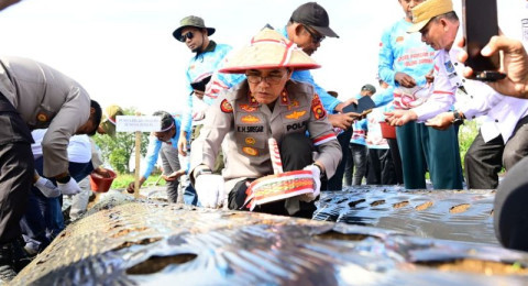Dukung Ketahanan Pangan Nasional, Polda Jambi Laksanakan Penanaman Bawang Putih di Kayu Aro